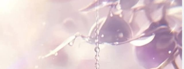 蘭 桜葉さんの壁紙画像