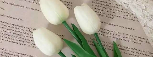 𝔂♡さんの壁紙画像