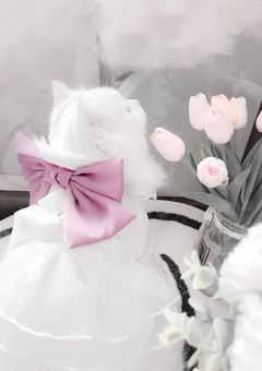 桃色 ちゅ~どく ❤︎