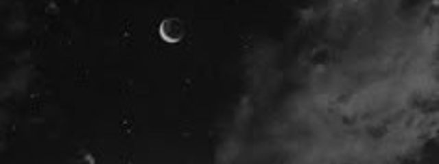 ruaruaｺさんの壁紙画像