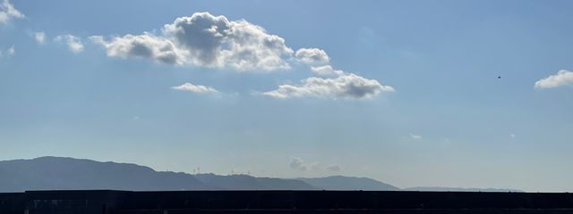 琴音♪  💙🌙🍀さんの壁紙画像