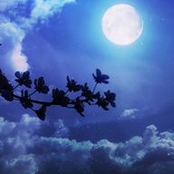 ニノ担（入試期間）さんのアイコン画像