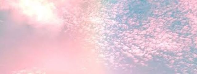 花園Ranさんの壁紙画像