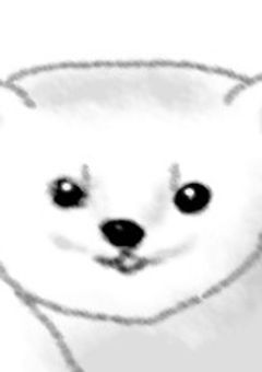 🎀Tag 兼 把握会