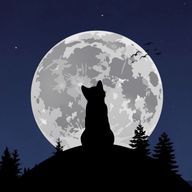 にゃーまるにゃるま。さんのアイコン画像