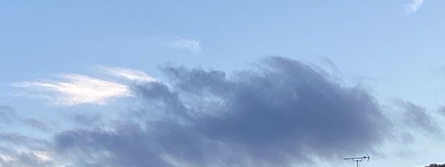 夜蝶 美亜 🪽🕊️さんの壁紙画像