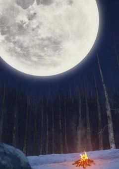 不名誉の架け橋【参加型】