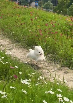 ⠀ 𝖶𝗁𝗂𝗌𝗉𝖾𝗋 𝗈𝖿 𝖣𝗋𝖾𝖺𝗆𝗌 💫