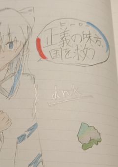 正義の味方、国を救う