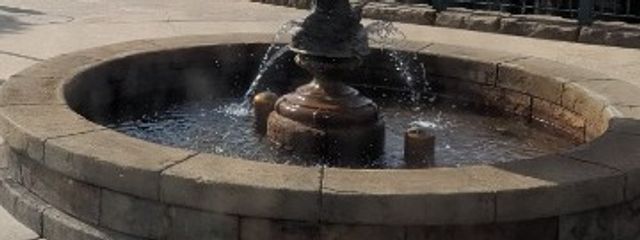 にくさんの壁紙画像