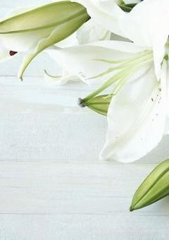 愛 は 尊 い 。🌹🍼📛