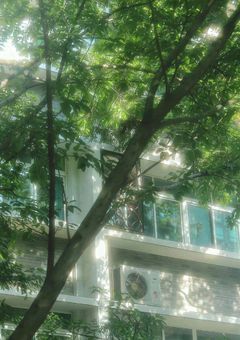 　𐙚✧  梦境小狐  