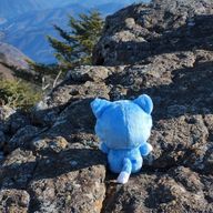 しゃけさんのアイコン画像