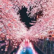 ななみ🖤💫🐣‪さんのアイコン画像