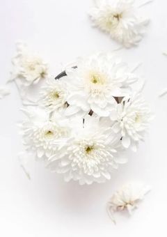 世界一のMFに仕える世界一のメイド