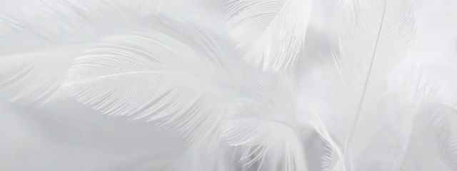 黒梅コハク fm.付けてほしいなさんの壁紙画像