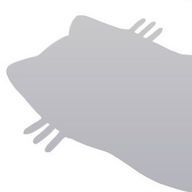 ちょこぉーーーーん☆さんのアイコン画像