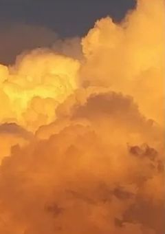 俺はどうでもいいの、？