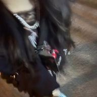 miaさんのアイコン画像