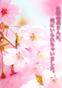 生徒会長さんに、気にいられちゃいました、、？