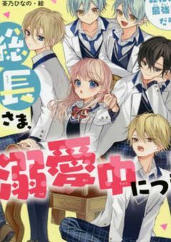 総長さま、溺愛中につき。