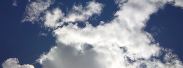 Haruki . 小学校卒業しました ✨さんの壁紙画像