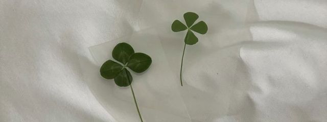 　　　　𝓣𝓼𝓾𝓶𝓾𝓰𝓲さんの壁紙画像