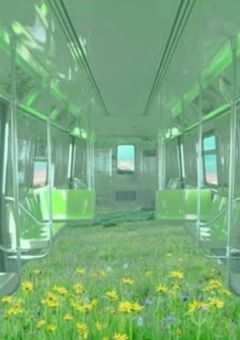 綺麗な花　【参加型】