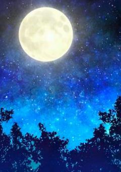 此処で天体観測をしよう。