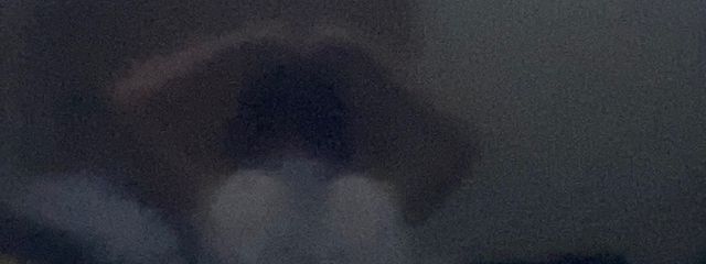 佐藤さんの壁紙画像