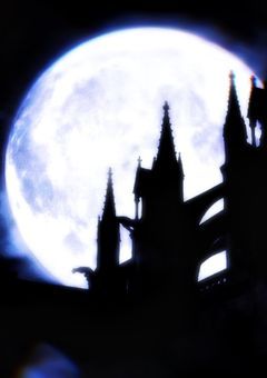 　　　　♥　𝑻𝒓𝒖𝒆 𝑳𝒐𝒗𝒆