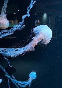 最高の体験をあなたに