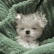 ︎︎︎︎#　　키 키　　.さんのアイコン画像