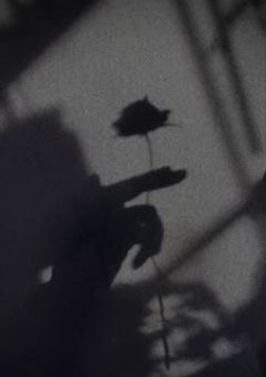 ARMYใฎๅ้ใใใฎๅซๅฆฌใฏโฆ