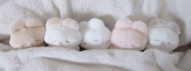 いろさんの壁紙画像