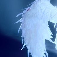 かのりんさんのアイコン画像