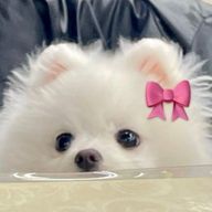 ︎︎coco .⋆𝜗𝜚 さんのアイコン画像
