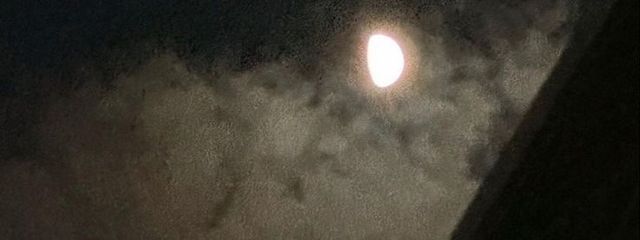 かれん 𐙚⸝⸝꙳さんの壁紙画像