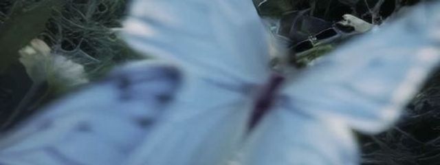 　尹 結  .さんの壁紙画像