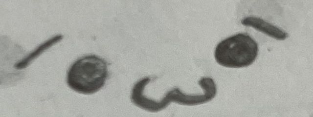 無月リツ🌑⚖️イラスト頑張ってるんだおさんの壁紙画像