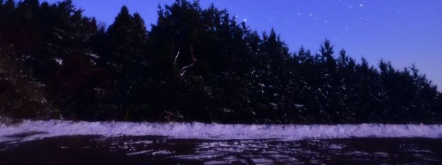 ( ᐛ )さんの壁紙画像