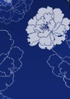 ゆめぱらの夜乃羽の配信部屋！