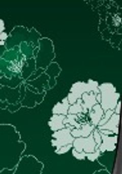 りむちゃせんよ〜！