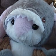 狐虎さんのアイコン画像