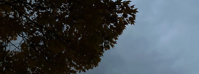 ミセススノーキッズ（推しの名前くっつけた）さんの壁紙画像
