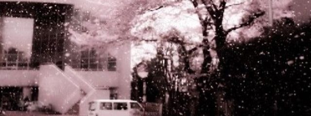 ︎ ︎ ︎ ︎Vさんの壁紙画像