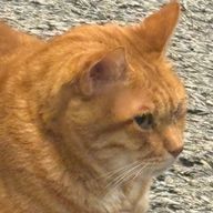 ひすいさんのアイコン画像