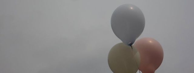 栓さんの壁紙画像