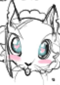 こんにちはわらび猫です！