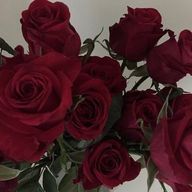 1515 @忍たま垢さんのアイコン画像